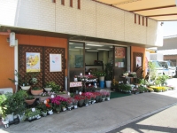 愛知県名古屋市中村区の花屋　ツノダ花重中村